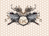 djok_wallpaper_b1_1024x768